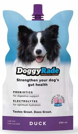 Napój izotoniczny DoggyRade kaczka 250ml