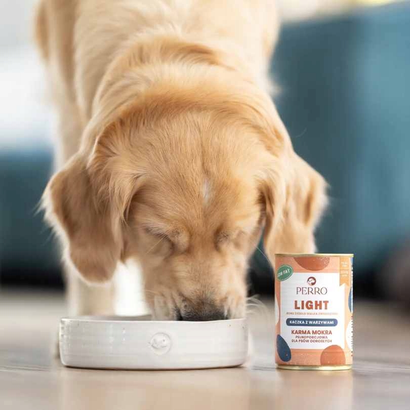 Perro LIGHT kaczka warzywa karma mokra dla psa 400g