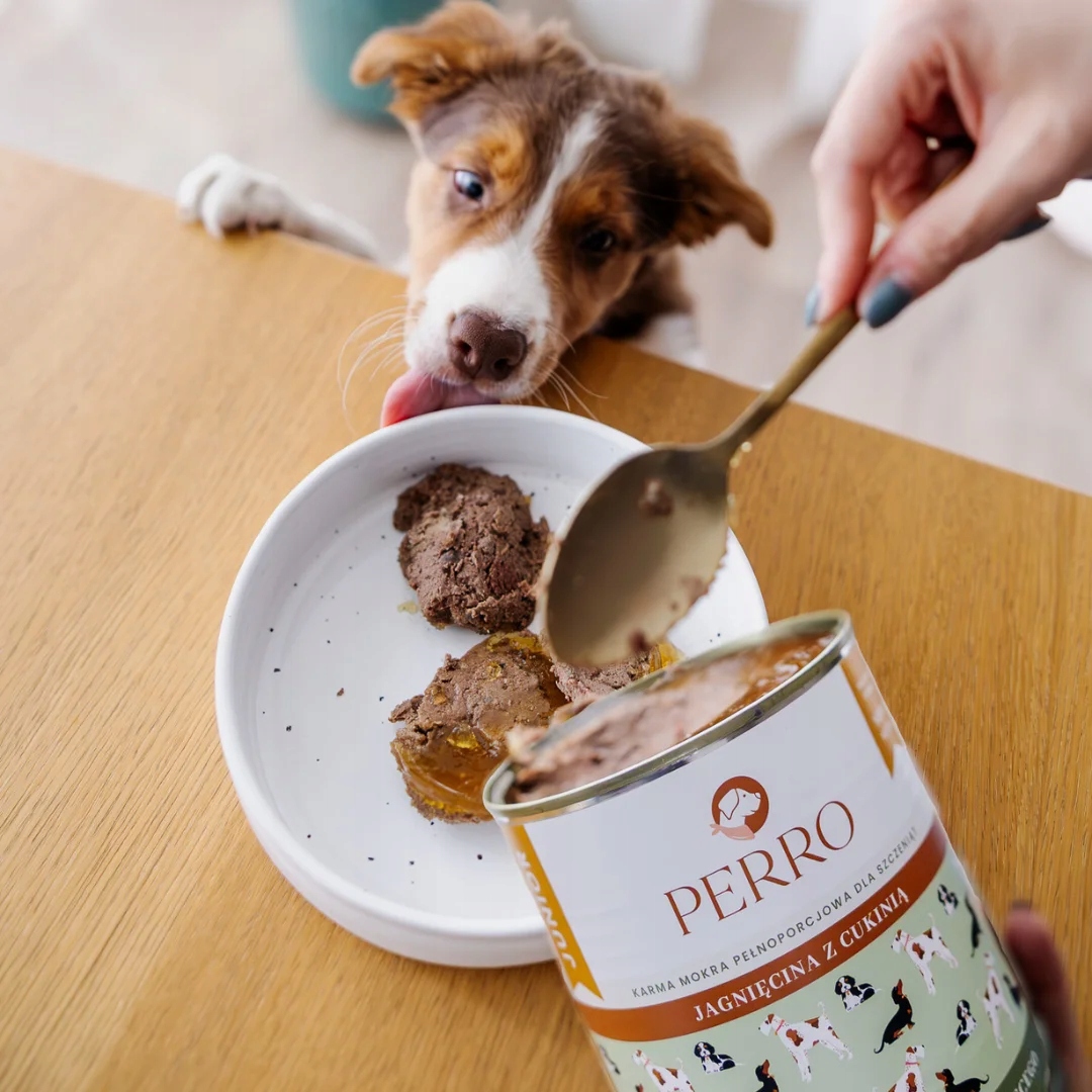 Perro mokra karma dla szczeniąt JAGNIĘCINA CUKINIA 800 g junior