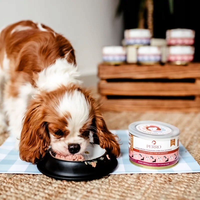 Perro mokra karma dla szczeniąt WIEPRZOWINA MARCHEW 410g