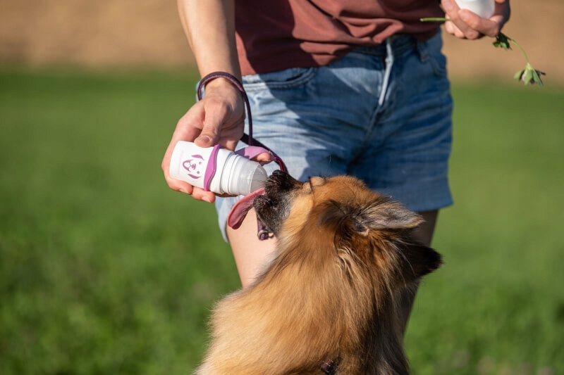 DoggyRoller podajnik do półpłynnych smakołyków z karabińczykiem różowy