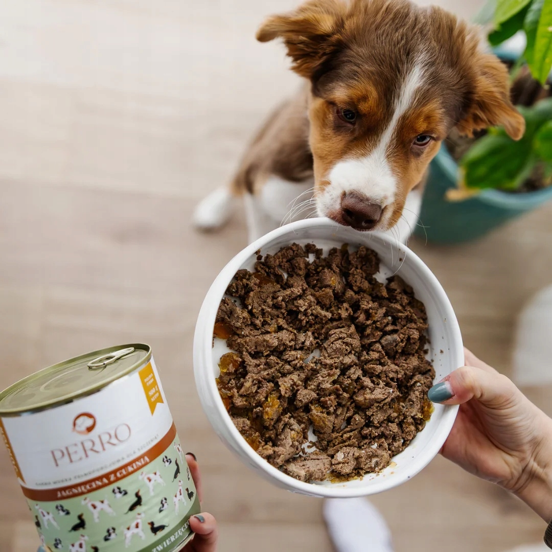 Perro mokra karma dla szczeniąt JAGNIĘCINA CUKINIA 800 g junior