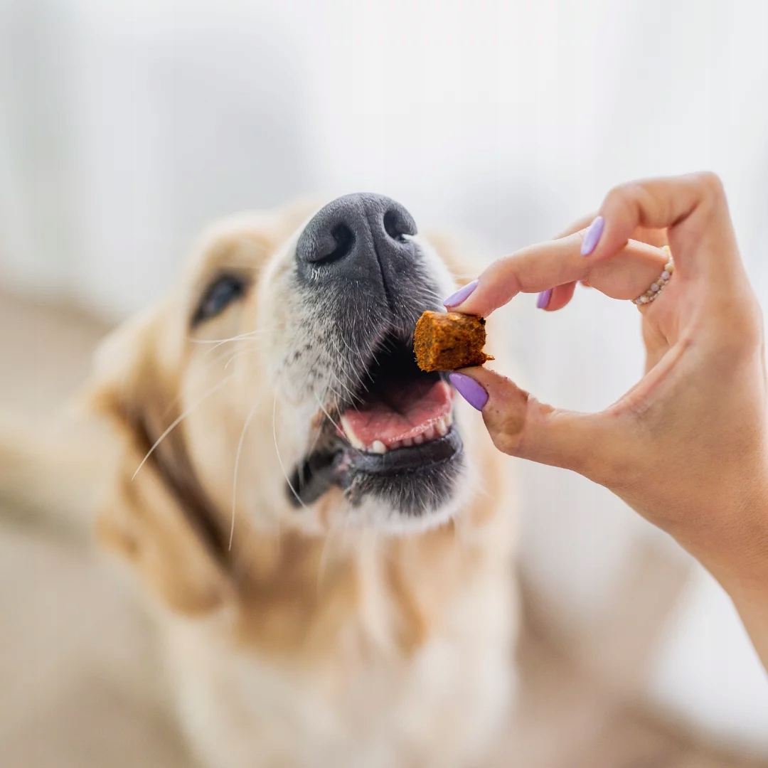 Perro BON BON przysmaki Wołowina – zdrowe stawy 80g
