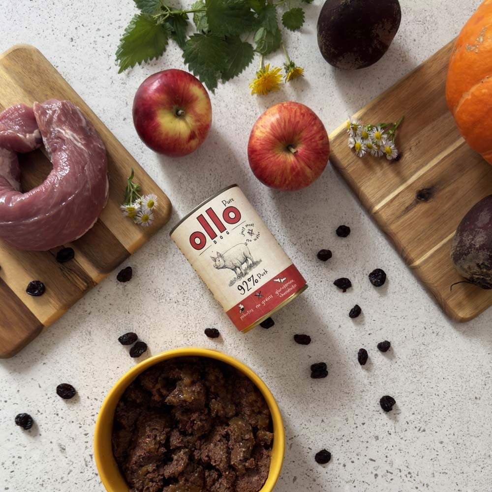 Ollo mokra karma dla psa Pure WIEPRZOWINA 850g