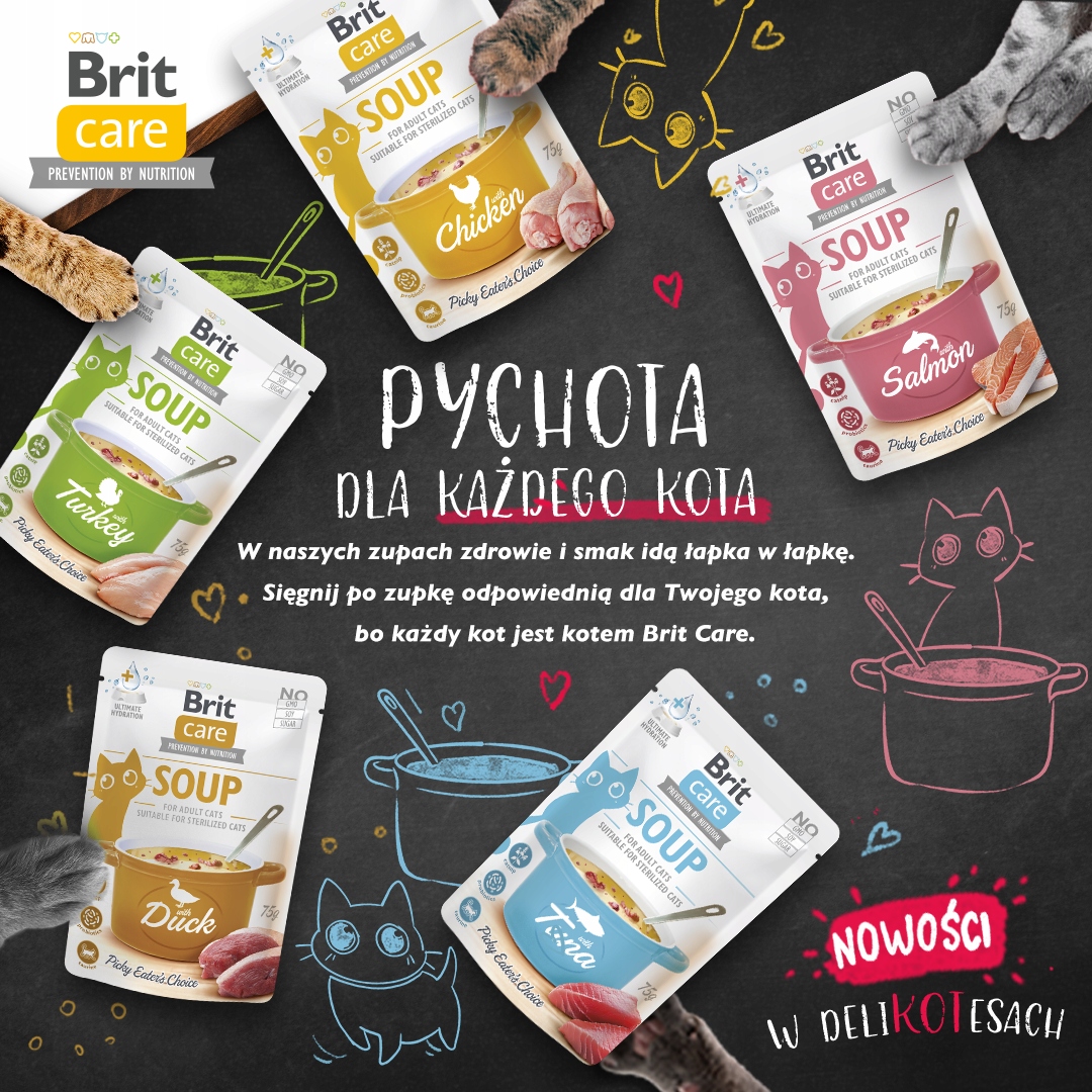 BRIT CARE CAT SOUP WITH SALMON 75 G