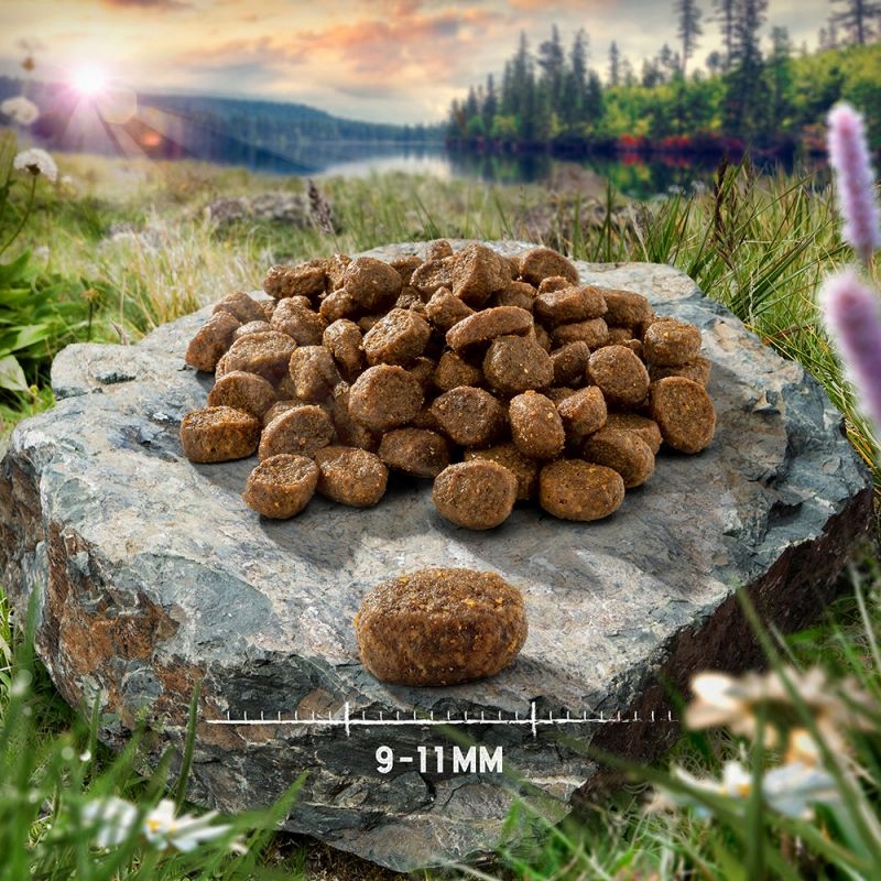 Purizon Adult Cat dziczyzna drób 6,5kg 0% ZBÓŻ